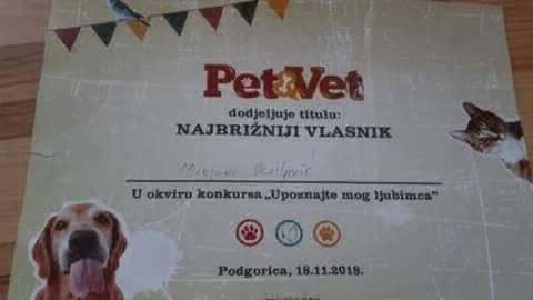 Mali i veliki raj - azil za napustene zivotinje